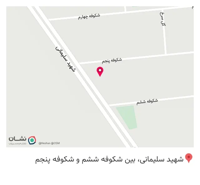 کارواش رامین