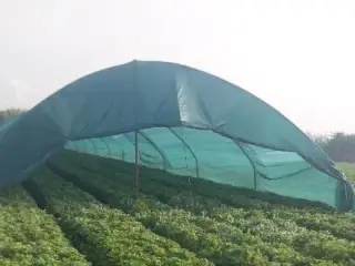 شید گلخانه و سایبان