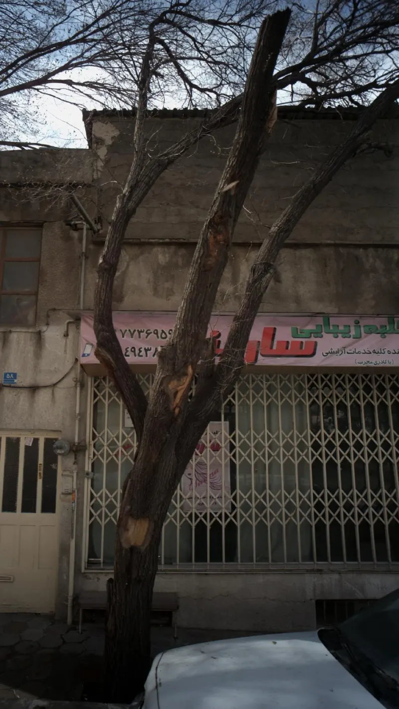 کلبه زیبایی سارینا