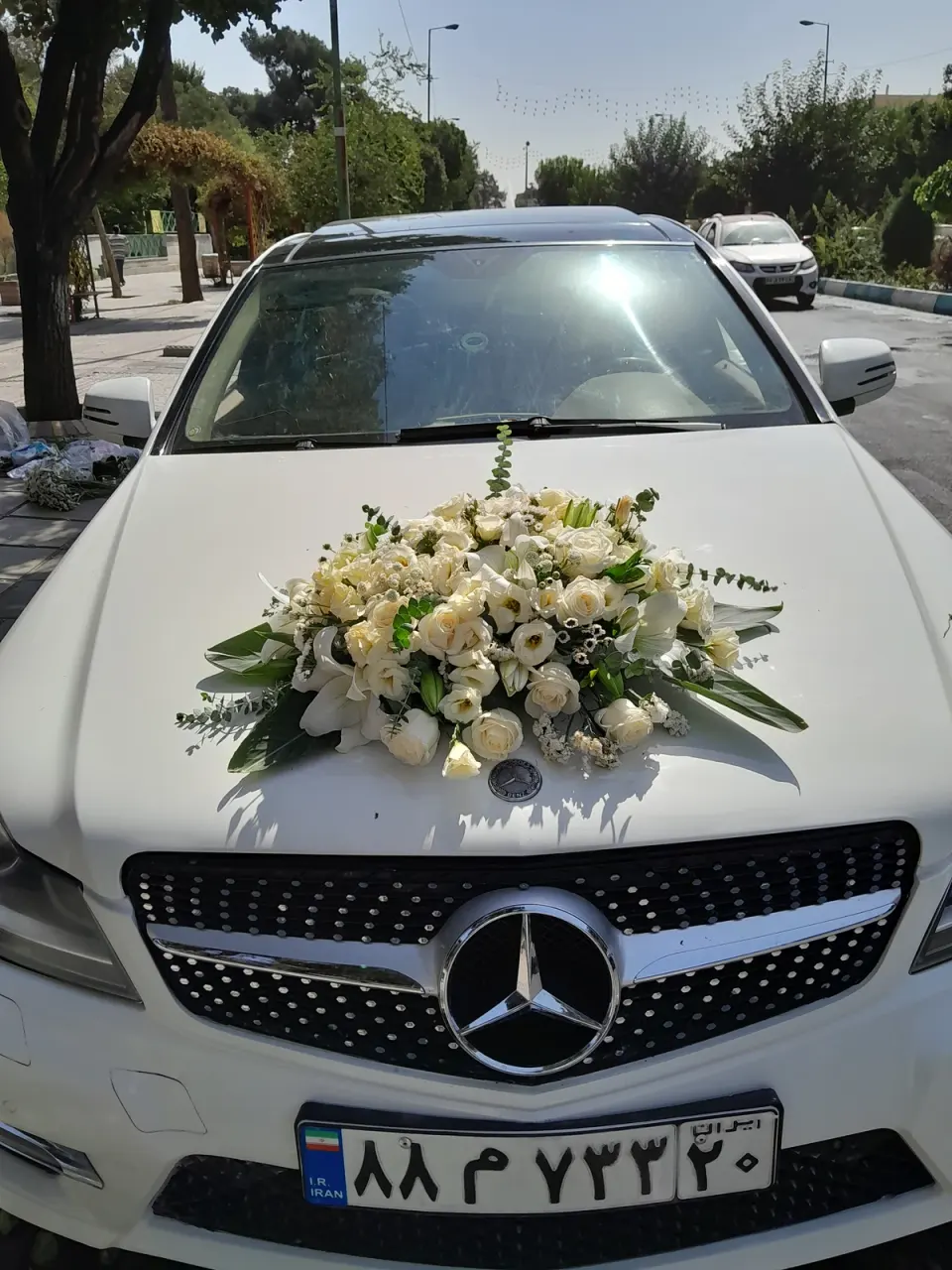 گلفروشی دلارز