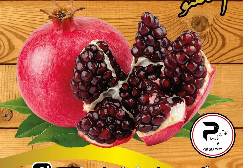 کارتن سازی مهدی گنجه زاده