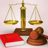 سعیده محمودی عین الدین وکیل پایه یک دادگستری