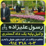 رسول علیزاده وکیل پایه یک دادگستری