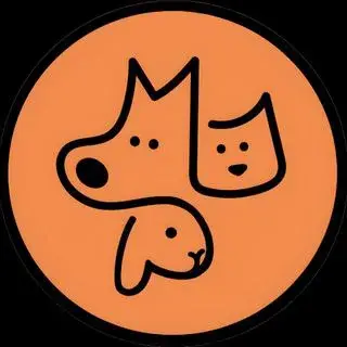 Leepet پت شاپ لی پت شیراز