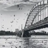 پیج تبلیغات اهواز