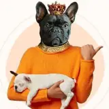 Petcenter