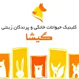كلينيك دامپزشكي گيشا _مشهد