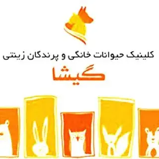 كلينيك دامپزشكي گيشا _مشهد
