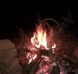 رستوران ساحلی ونک