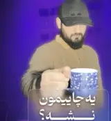 تدوینگر/محمدجواد دانش پژوه