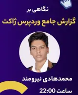 محمد هادی نیرومند کارشناس سئو
