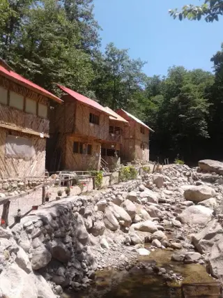 رستوران مرد جنگل