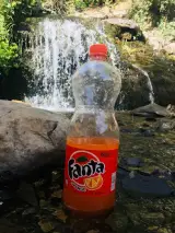 شهر غذای دیانا