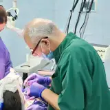 dr.bigdeli