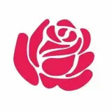 کلینیک زیبایی رزا