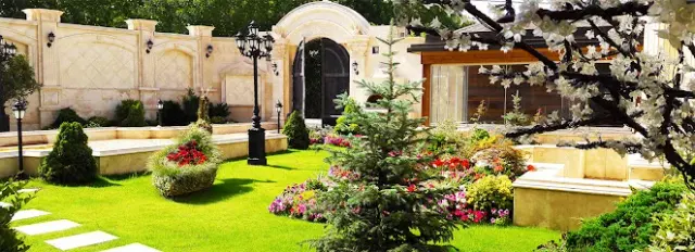 دکوراسیون دارکوب
