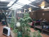 Shabzadegan Restaurant