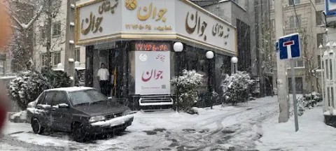 تهیه غذای جوان