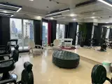 Loucut's Salon