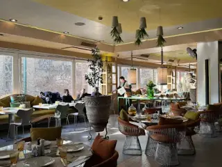Kubaba