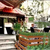 دسی برگر
