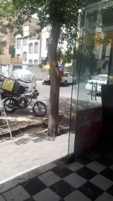 رستوران شکم طلایی