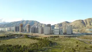 پلاکینو