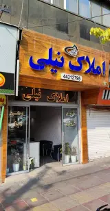 مشاور املاک نیلی