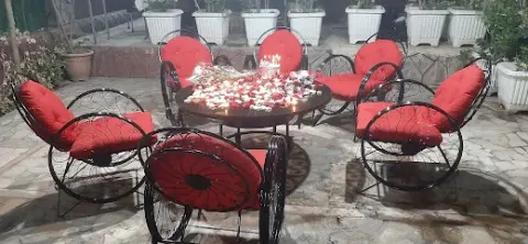 نیلوفر آبی