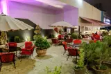 Café Plato