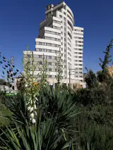 Sadaf Real Estate