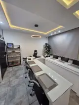 املاک شاهان پونک