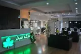 سالن زیبایی برگ سبز