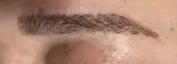 عروس سرای رزمینا