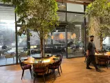 Nakaya Asian Cuisine
