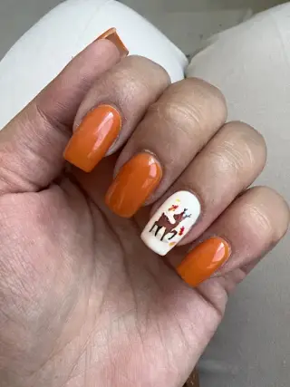 قصر زیبایی شهرزاد جلالی(ژیوار