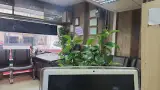 املاک ونک