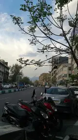 املاک طاووس