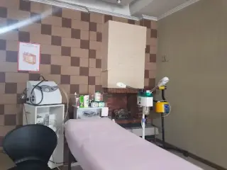 ارکید