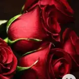 مركز پوست-مو-لیزر-زیبایی رز