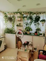 سالن زیبایی نگار داودی
