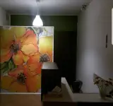 دکتر امیر شریفی (زیبایی، لاغری)