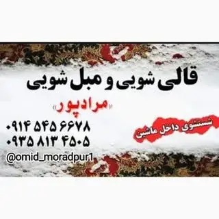 قالیشویی و مبل شویی مرادپور