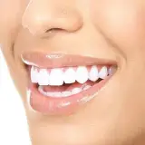 P A R S I A N   R O K H