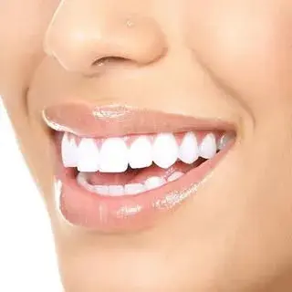 P A R S I A N   R O K H