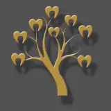 دندان ،ایمپلنت ،کاپوزیت ،لمینت ،عصب‌ و‌ ریشه