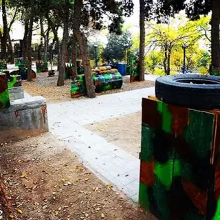 فانزی