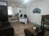 Sari_leyzer