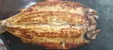 کباب ماهی