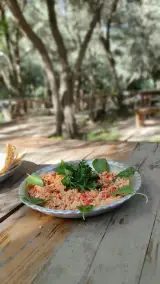 کافه رستوران باغ زیتون